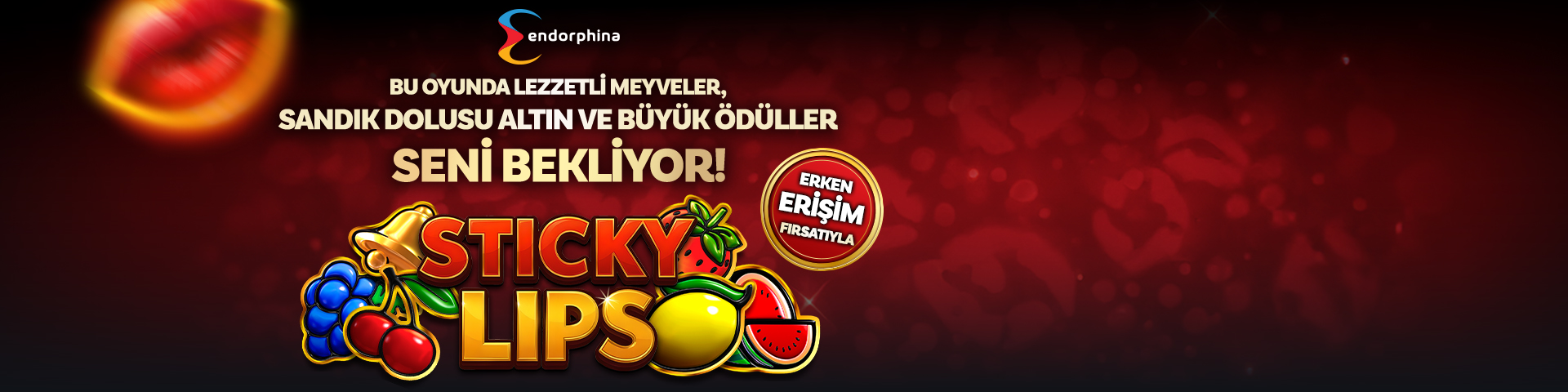 ENDO STİCKY LİPS